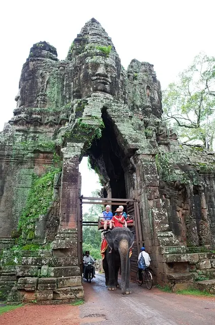 elefantes en siem reap